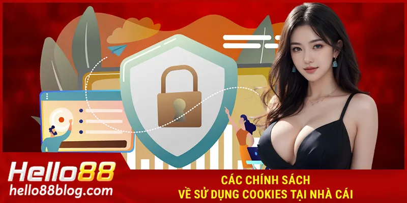 Các chính sách về sử dụng cookies tại nhà cái