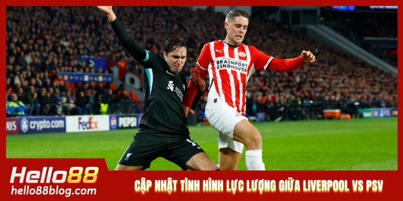 Cập nhật tình hình lực lượng giữa Liverpool vs PSV