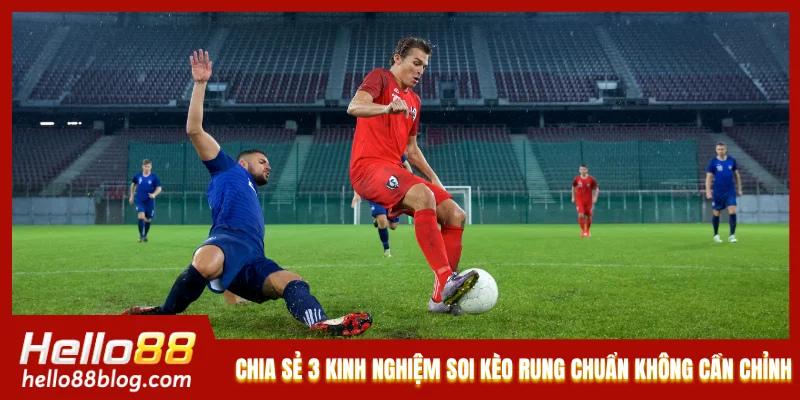 Chia sẻ 3 kinh nghiệm soi kèo rung chuẩn không cần chỉnh