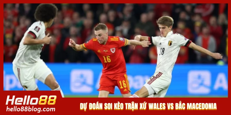 Dự đoán soi kèo trận Xứ Wales vs Bắc Macedonia