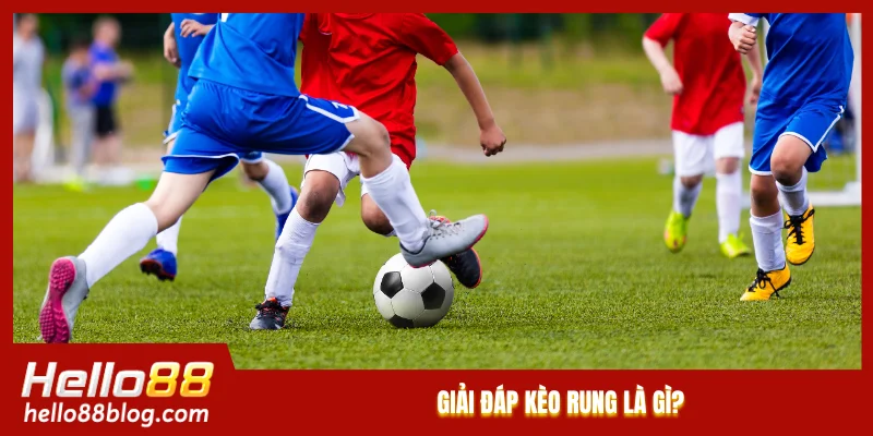 Giải đáp kèo rung là gì?