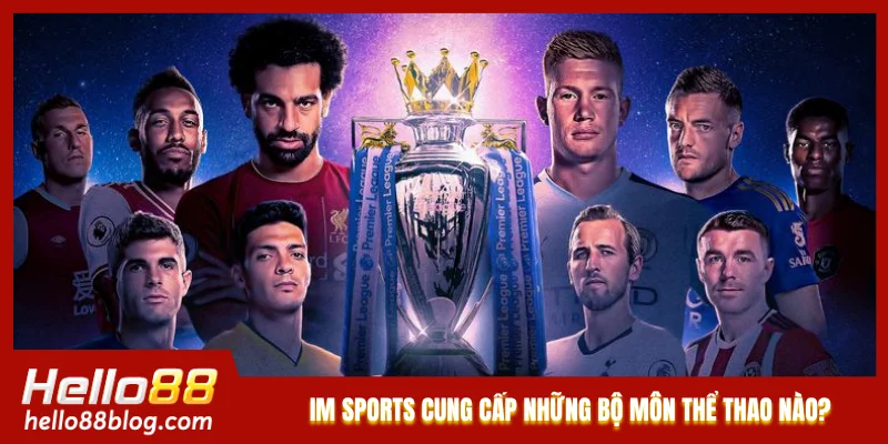 IM Sports cung cấp những bộ môn thể thao nào?