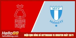 Nhận Định Bóng Đá Nottingham Vs Brighton Lúc 21h05 Ngày 30/11