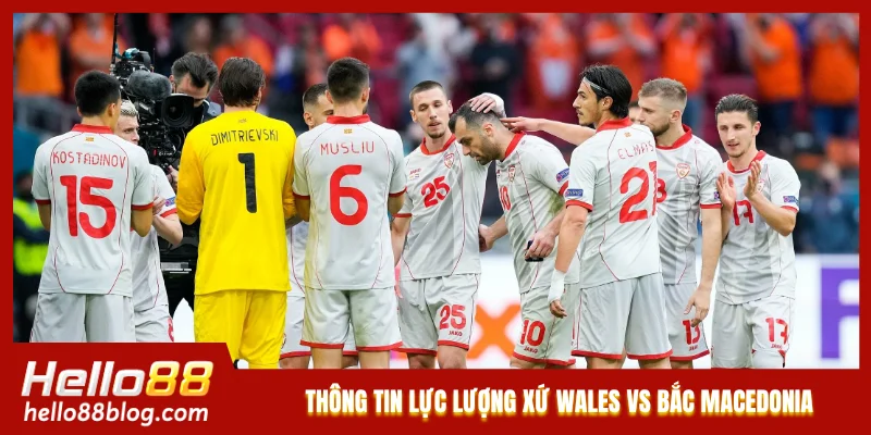 Thông tin lực lượng mới nhất của Xứ Wales vs Bắc Macedonia